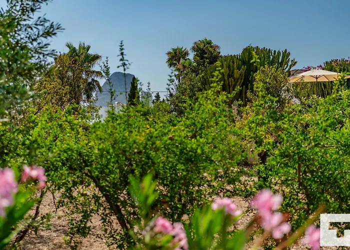 Benicolada - Grupo Turis *