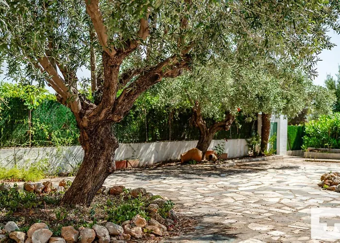 Benicolada - Grupo Turis Willa