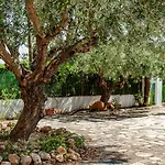 Benicolada - Grupo Turis Villa
