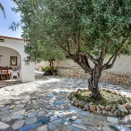 Benicolada - Grupo Turis Calp