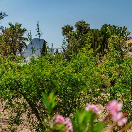 Benicolada - Grupo Turis Calp