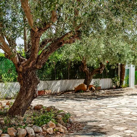 Benicolada - Grupo Turis ヴィラ